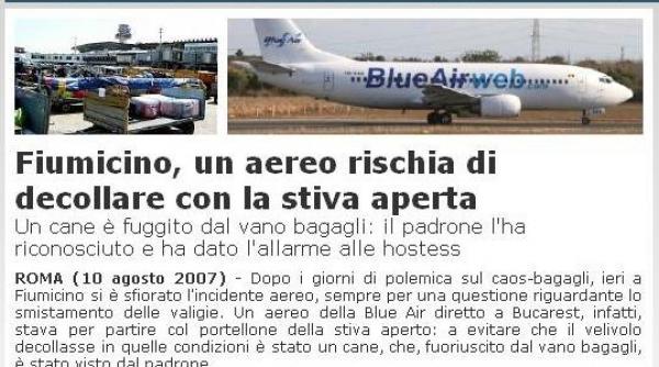 avion salvat de un caine