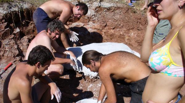 tustea cresa dinozaurilor