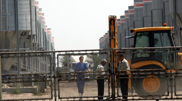 nereguli in cocina liderului mondial