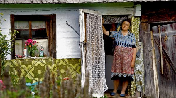 batesul la rascruce de drumuri