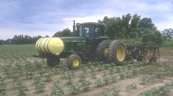 un mit rasturnat pesticidele nu mai cresc randamentul culturilor