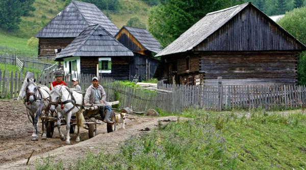 bratesul la rascruce de drumuri