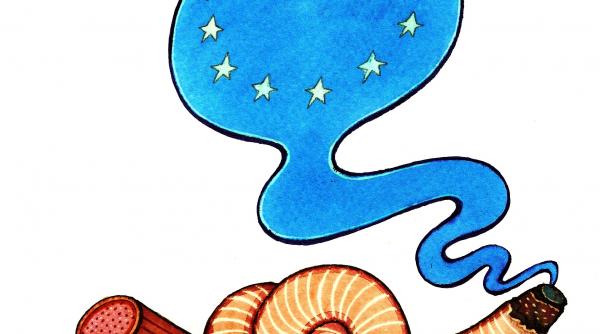 competenta pnl mosule ce tanar esti