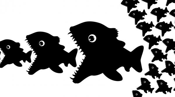 de la bruce willis la vijelia lui guta