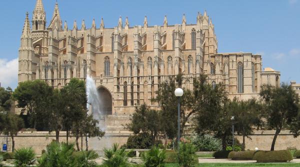 palma de mallorca din insula perlelor