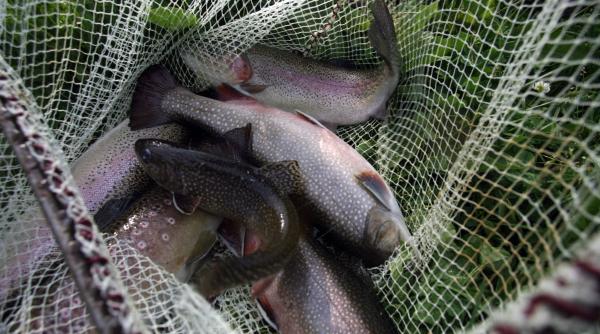 banii europeni pentru pescuit mai intarzie