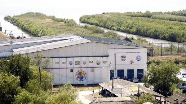 minunea de la jurilovca