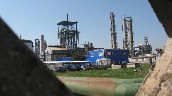 patronul interagro mai ingroapa o firma