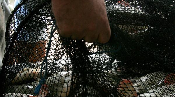 braconaj in rezervatia racaciuni