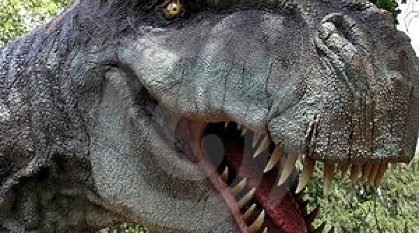 info stiinta si tehnica