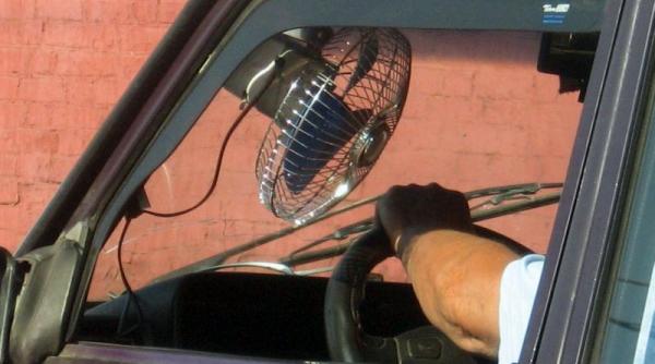 intrebari enervari mirari