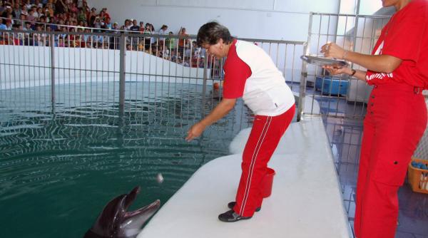 romania in cinci minute