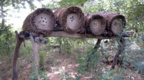 au fost gasiti stupii regelui solomon pe cand si minele