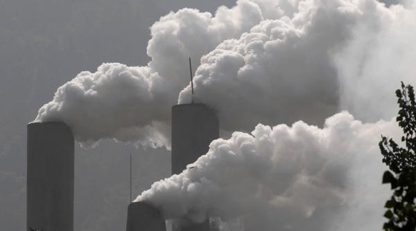 cinci companii risca sa fie inchise