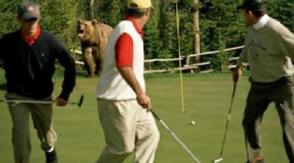 intrebari enerari mirari