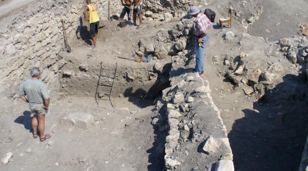 harsova blestemul romanului