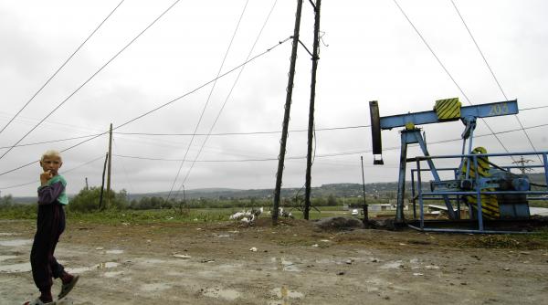 titeiul rosu leac de sarac