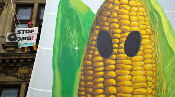 lectii despre ingineria genetica