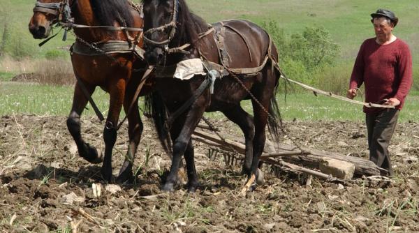 un mail de la marea moarta
