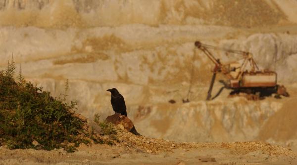rosia montana anrm desecretizati documentele