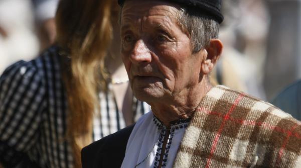 toamna mieilor intorsul oilor de la munte