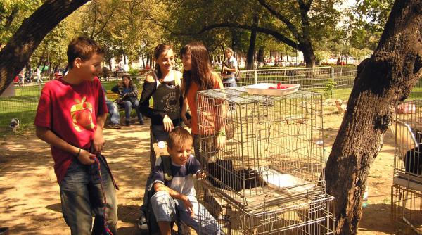 romania in cinci minute