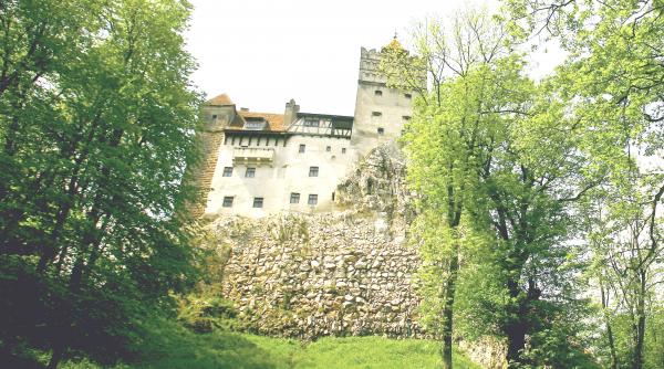 retrocedarea branului nula