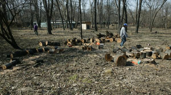 atentie iar se taie parcuri