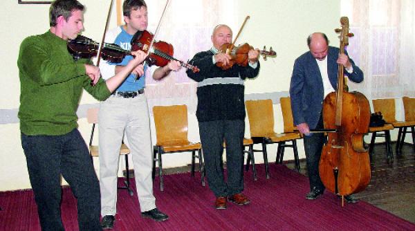 taraful iedera din carei codreneste si scuturat