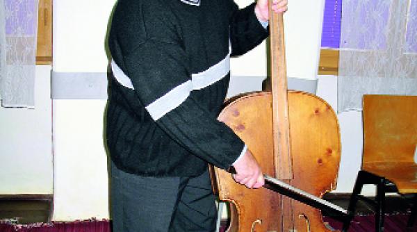 taraful iedera din carei lutier abil