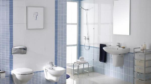 romanii prind gustul bailor