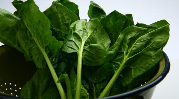 botezul budincii de spanac