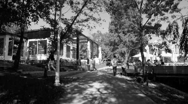 lacul floreasca carciuma la iarba verde