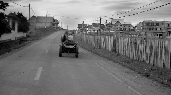 vis pe plai bucovinean in dulcele stil italian