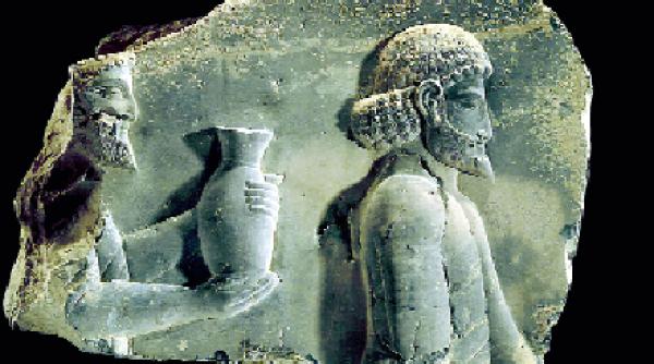 imaginile ahemenide in mai multe culori