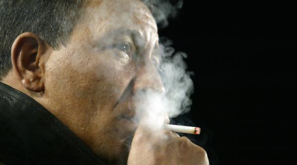 chelsea vine henk ten cate