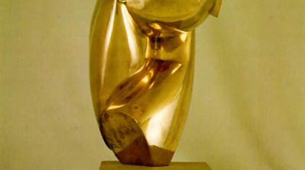 constantin brancusi cine este proprietarul celebrei mademoiselle pogany