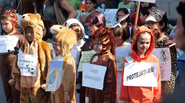 romania in cinci minute