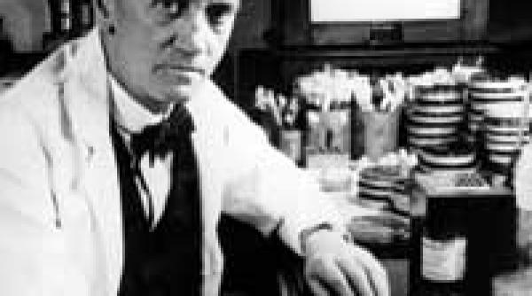 astazi se decerneaza premiul nobel pentru medicina