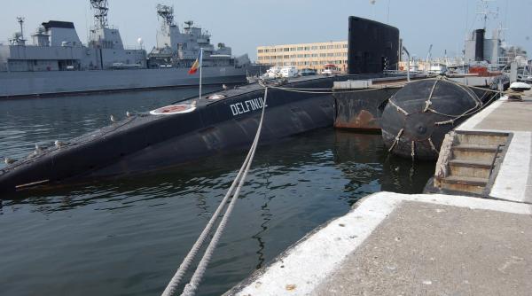 delfinul cu submarinul la reparat