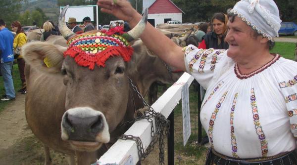 romania in cinci minute