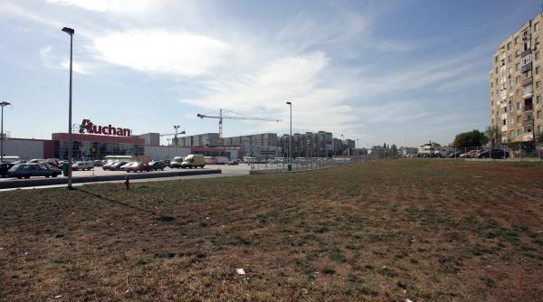 poleiala verde din sectorul parcarilor