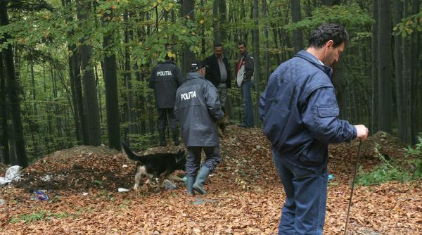 cazul elodia cautarea acului in carul cu fan
