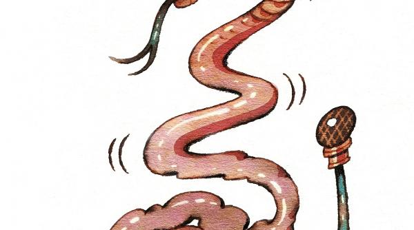 mai tineti minte prostia chiar ucide