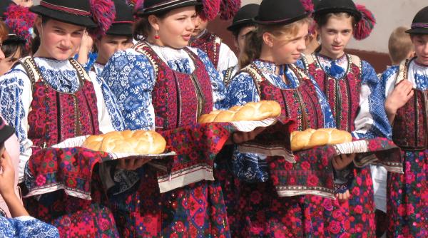 dragusul in haine de sarbatoare