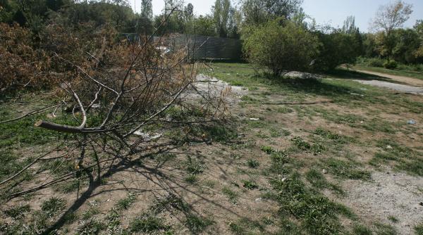 propuneri stupide pentru legea mediului