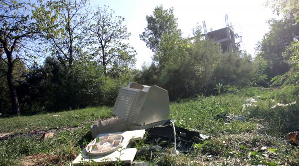 spatiile verzi pot fi salvate