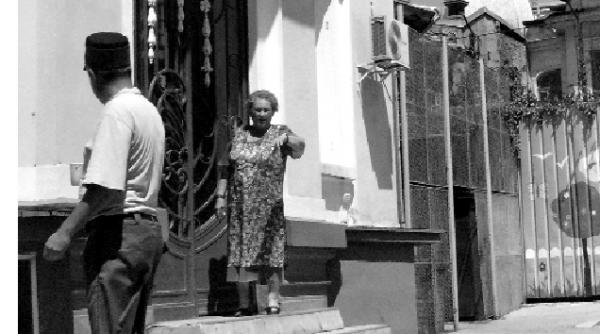 floarea ciresarilor a cazut