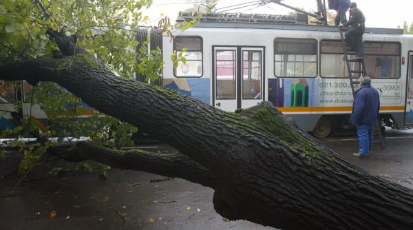 romania in cinci minute