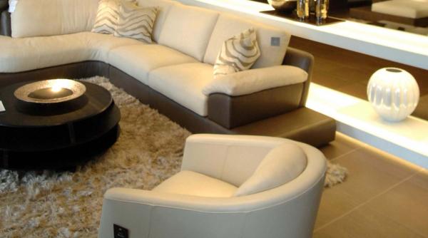 afaceri de lux cu mobila